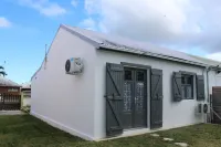 36 Baltazia