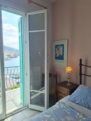 Blue Dolphin - Scenic