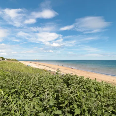 24 Hauxley Links