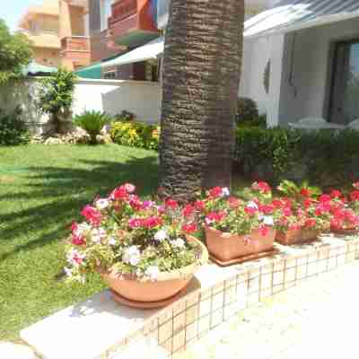 Hotel l'Approdo Hotel Exterior