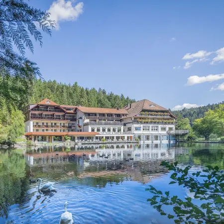 Hotel Langenwaldsee