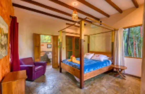 Tree House Lodge Hotels in 