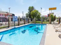 Safari Inn - Pools