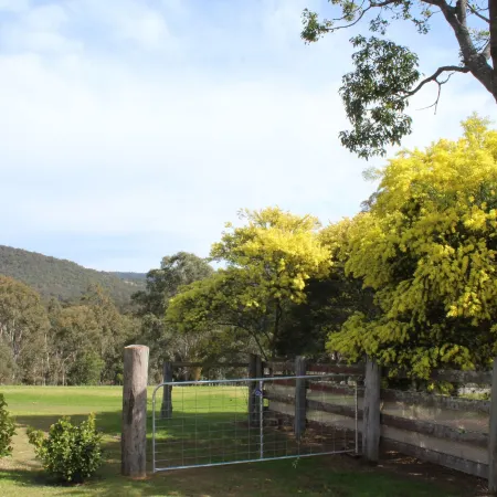Elfin Hill Vineyard Accommodation