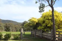 Elfin Hill Vineyard Accommodation Hotel a Millfield