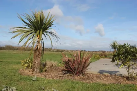 Seaside house, 4 bedrooms, garden and terrace