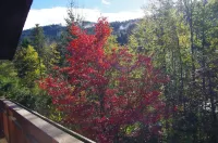 beautiful, family-friendly vacation home close to Salzburg Hotels in Hof bei Salzburg