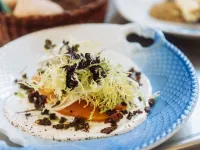 Hotel Lidenlund ved Gitte Bitsch Hotels in Lemvig