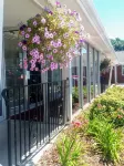 Bay Motel Hotels in Howard