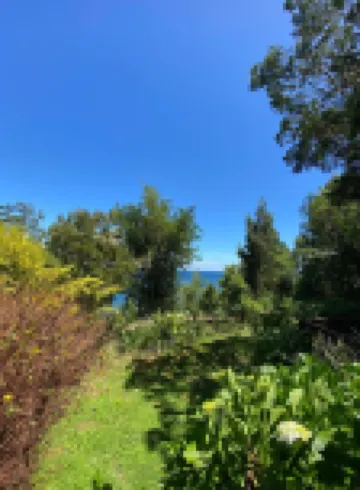 巴伊亞塞萊斯特小木屋