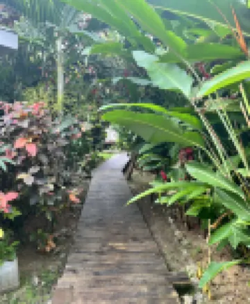 Jamaica Colors Eco-Retreat Hotel and Spa Hotels in 