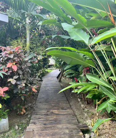 Jamaica Colors Eco-Retreat Hotel and Spa Отели в г. Эйри Касл