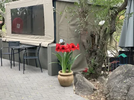 Birds Babble Self Catering