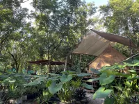 Cozumel Glamping Hotels near Chankanaab Beach Adventure Park