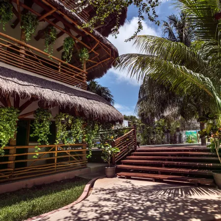 La Palma Holbox