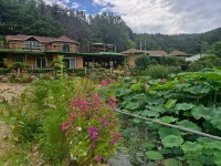 Red Clay Pension Dream Conversation Hotels in Donghae