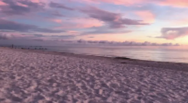 Quiet Studio, minutes from Beaches, Shopping, Dining, 5th Ave and 3rd Street