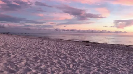 Quiet Studio, minutes from Beaches, Shopping, Dining, 5th Ave and 3rd Street Отели рядом с достопримечательностью «Парк Лоудермилк»