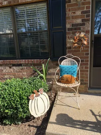 Comfortable Calm Condo in Historic Gainesville 2 Bedroom