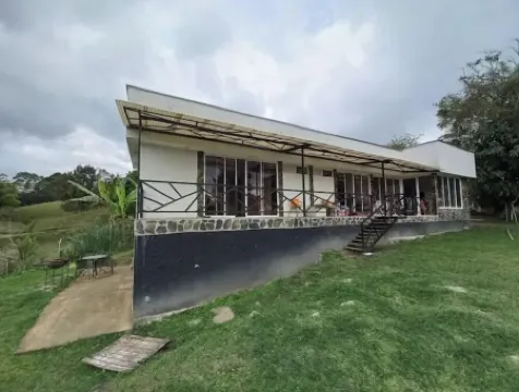 Cheerful 1 bedroom apt in the coffee heartland