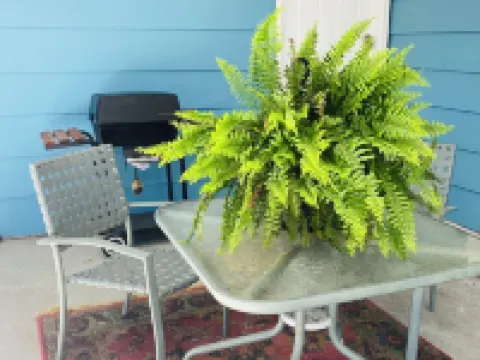 Charming 3-bedroom house near downtown Marshfield 馬什菲爾德酒店