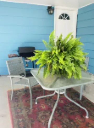 Charming 3-bedroom house near downtown Marshfield