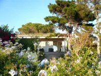 SEASIDE VILLA (200 meters from the beach) WITH SWIMMING POOL 10X4 Hotels in Pietrosella