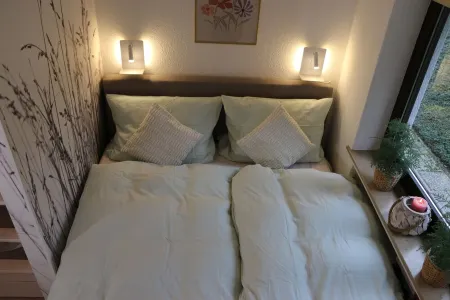 Fewo-BergSeeOase with fireplace, at the Hillebachsee and Hochheide