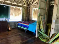 Beautiful cabin on beach, steps from the beach and great surf, peaceful location