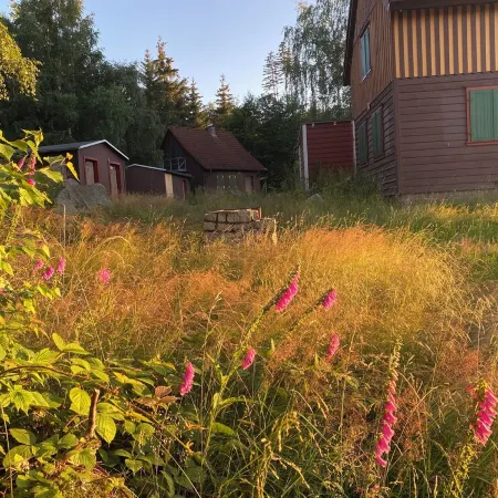 Secluded hunting lodge with three houses in the middle of the spectacular Harz nature