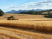 *NEWLY RENOVATED* Cosy Country Cottage, Sleeps 5, (4 star)