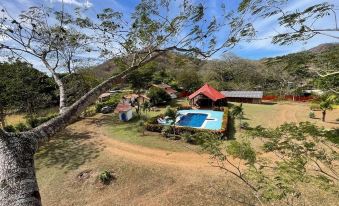 Born to be Wild eco resort