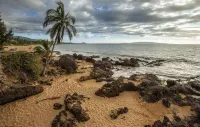 The Ocean View Residence Hotels in Kihei