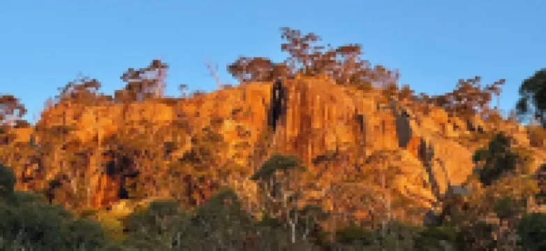 Self Contained Cottage in Bowral with Fireplace Hotels in Mittagong