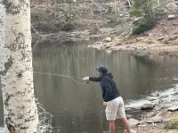 Cheerful two-story,  4-bedroom family home.  Whole house HVAC system!