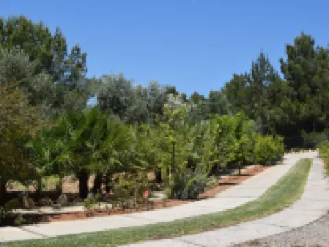Villa in Sant Josep near Cala Jondal Beach