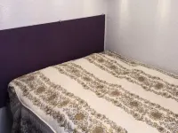 Apartment in France near Alp Express Ski Lift