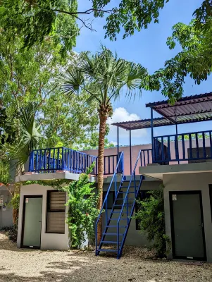 더 블루 에코 로지 - 어른 전용