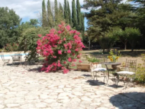 Camargue Modern retreat Hotels in Cavaillon
