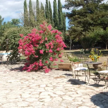 Camargue Modern retreat Отели в г. Кавайон