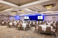 Hilton Richardson Dallas Hotels in Richardson