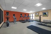 Homewood Suites by Hilton Chicago-Lincolnshire - Gym