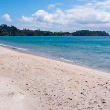 Beachfront on Waiheke Отели рядом с достопримечательностью «Автобус Explorer Island Waiheke»