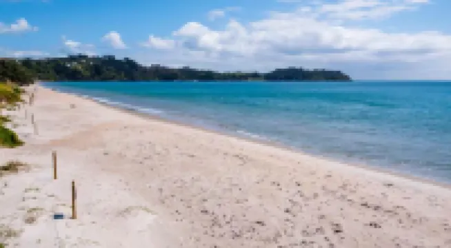 Beachfront on Waiheke