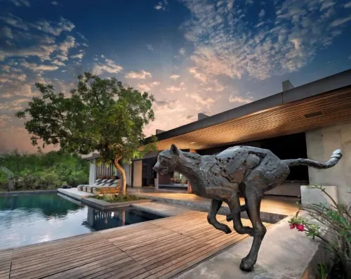 Cheetah Plains - Villas