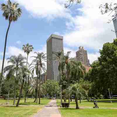 Live in the Heart of Surry Hills - Walk to City Others