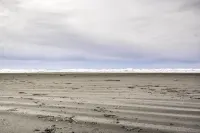 Coastal Washington Getaway Walk to Beach!