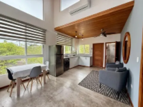 Modern apartment with 18 feet ceilings and private terrace with view to a park