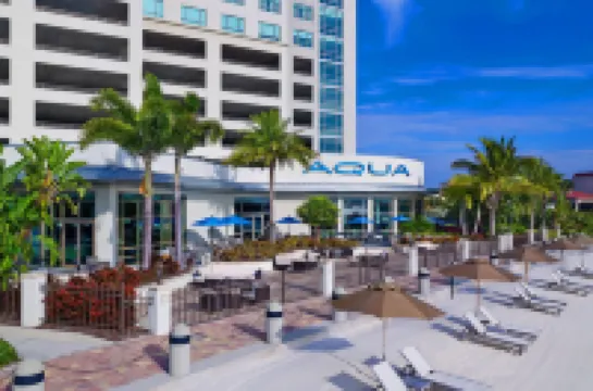 The Westin Tampa Bay Các khách sạn ở 