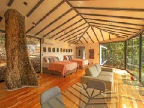 Dantica Cloud Forest Lodge Hoteles en Copey